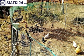 Siatki Malbork - Siatka na woliery - zabezpieczenia ptaków w hodowli dla terenów Malborka
